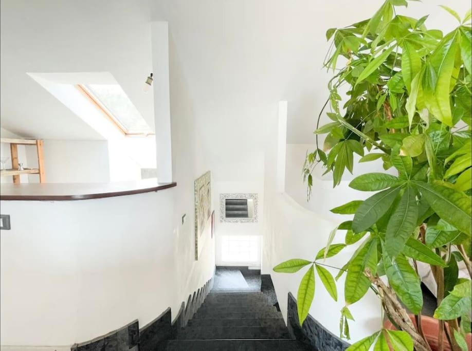 Mansarda Vista Mare A Zinola Apartment Савона Екстериор снимка